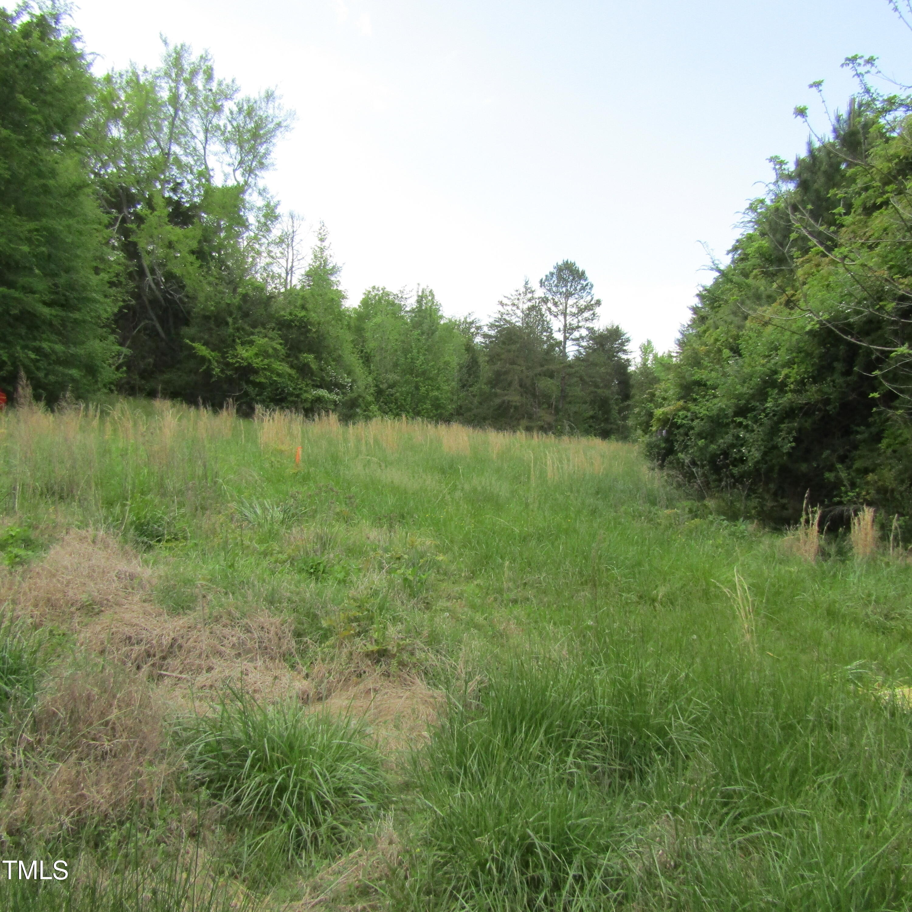 a view of a green field with a tree