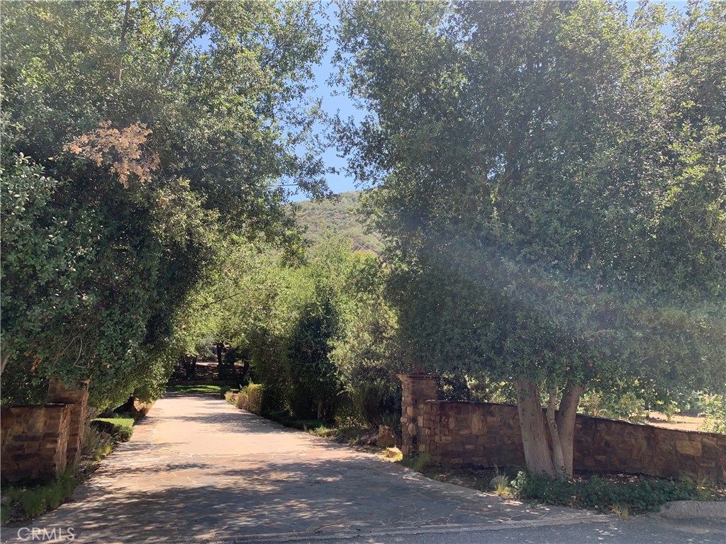 a view of a yard with plants and trees