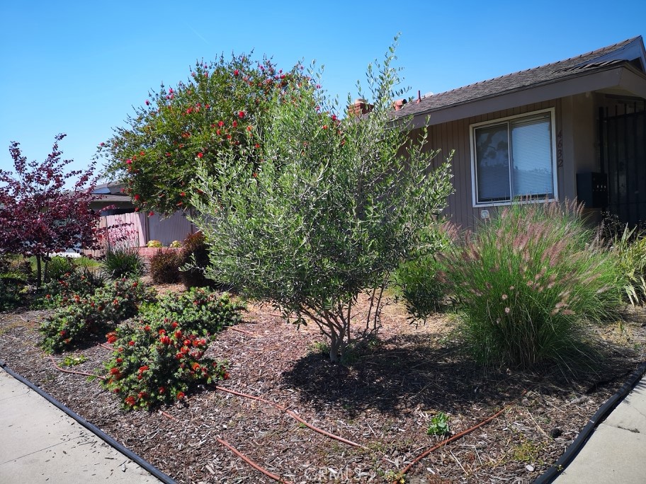 a view of a house with a yard and potted plants