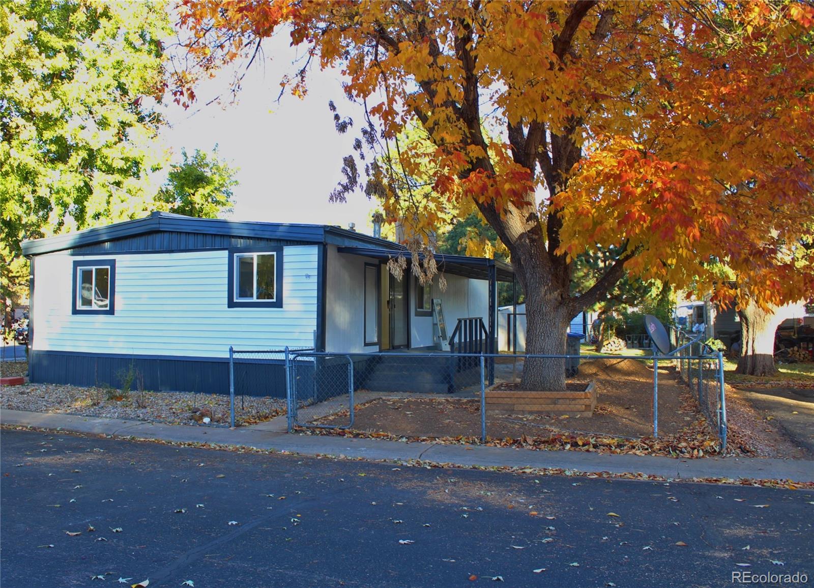 a view of street with large trees