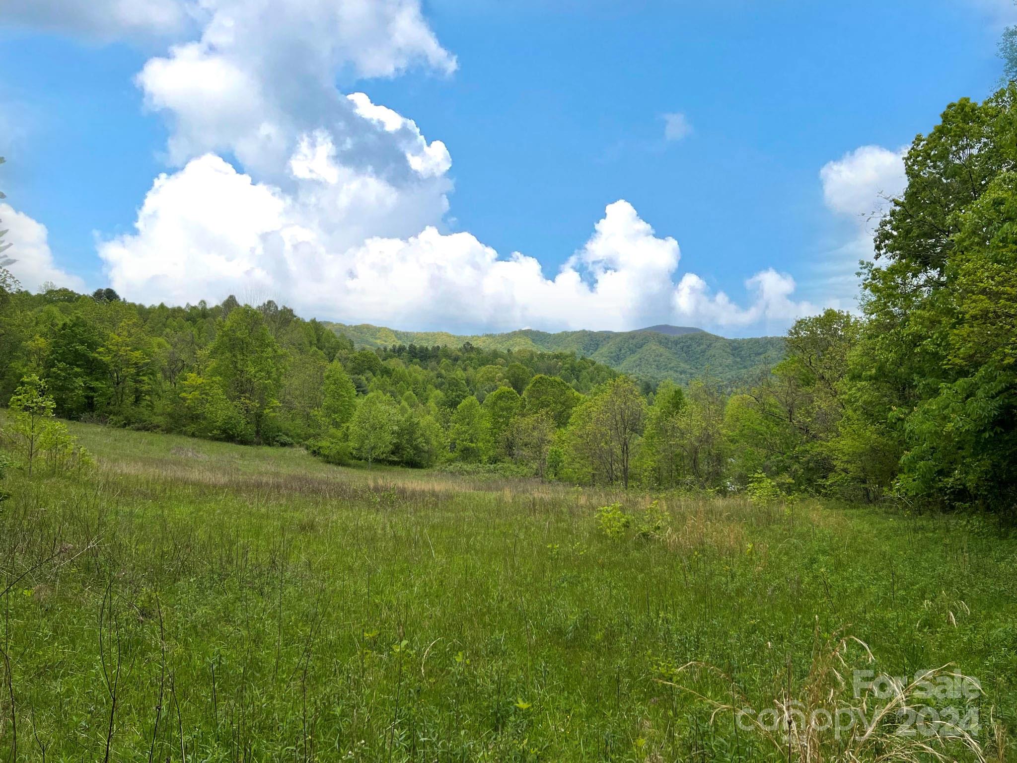 a view of a grassy field