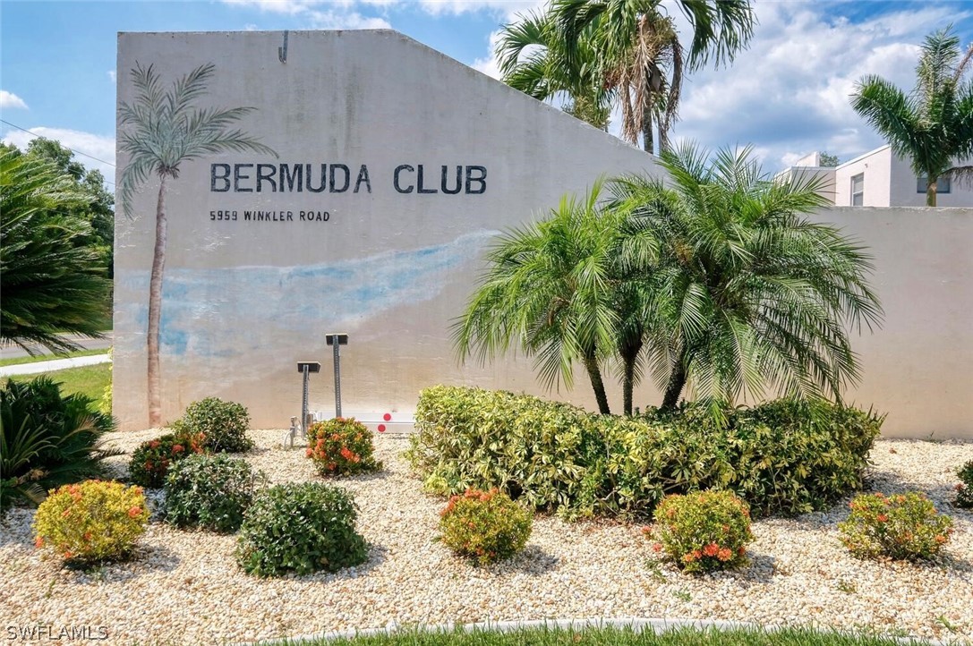 Bermuda II 5959