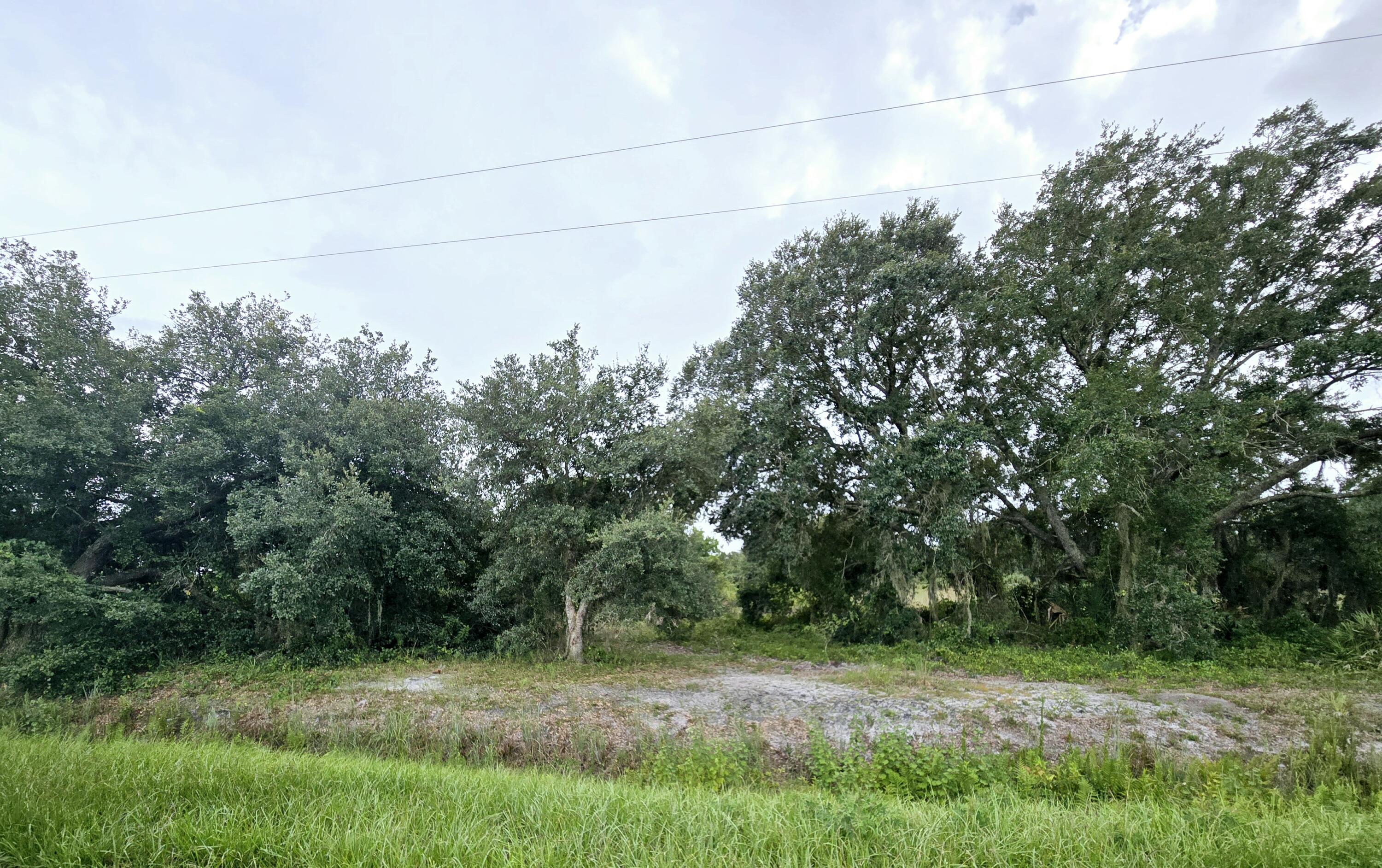 a big yard with lots of green space and house in the back