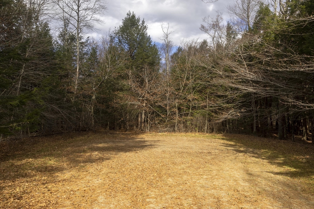 a view of empty room with trees