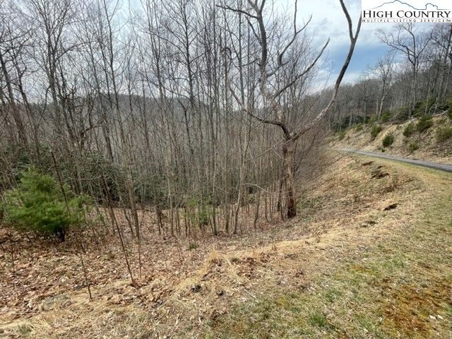 $79,000 | Lot 22 Boulder Cay Road | New River Township - Watauga County