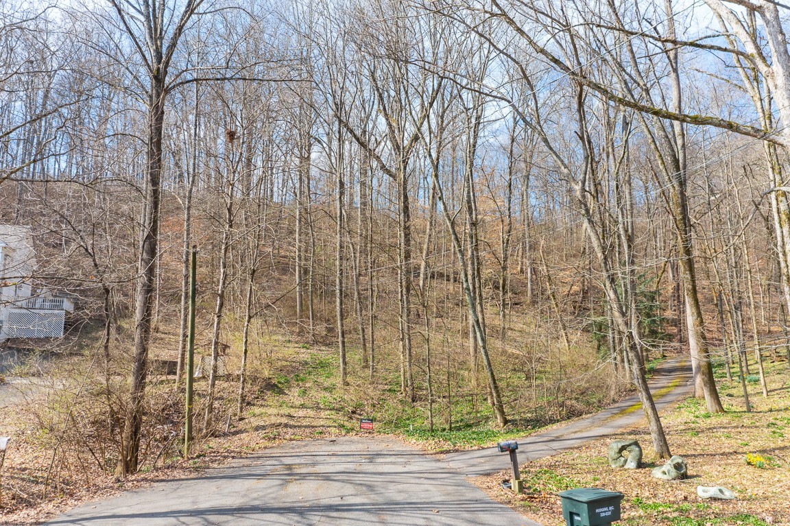 a view of a backyard of the house