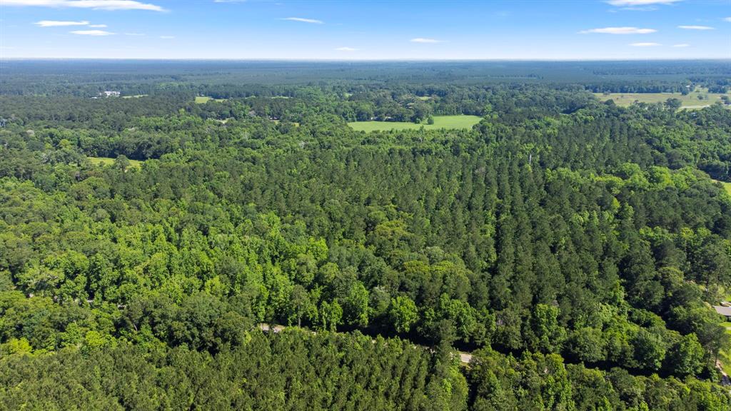 an view of a city with lush green forest