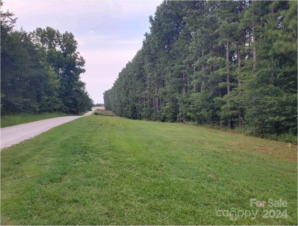 a view of a field of grass and trees