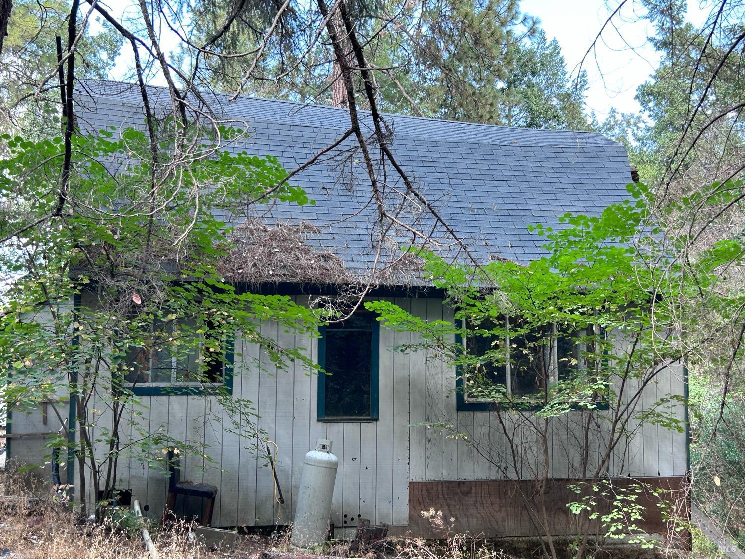 a view of a house with a yard and potted plants