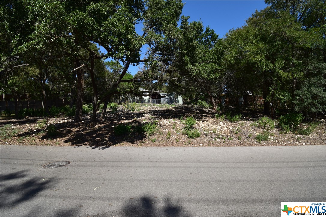 a view of a yard with a tree