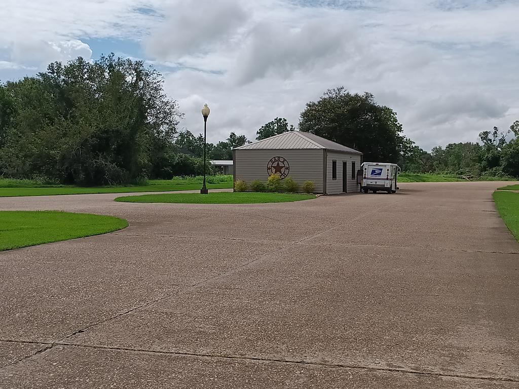 a view of a house with a yard and large trees