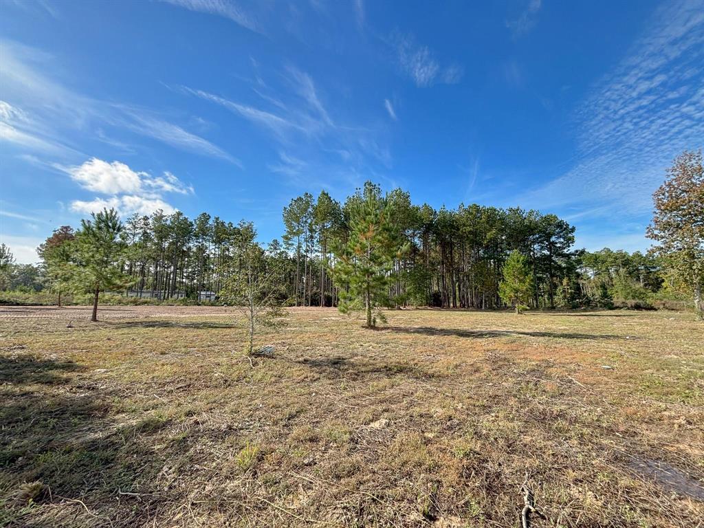 a view of dirt field with trees in the background