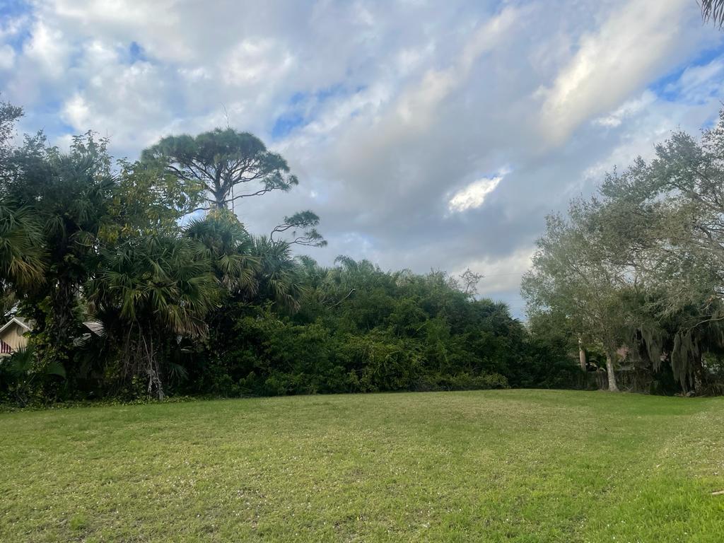 a view of a green field with lots of trees in the background