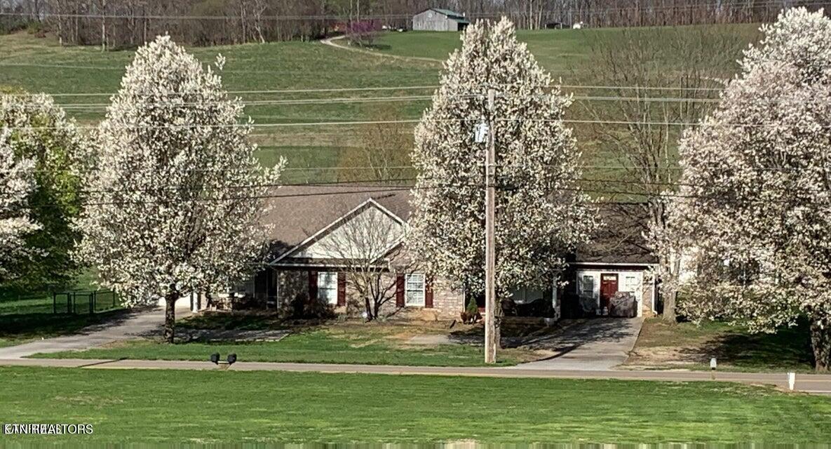 VH Rd with Flowers