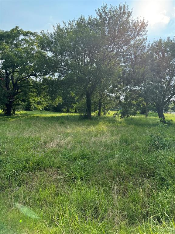 a view of a green field with lots of bushes