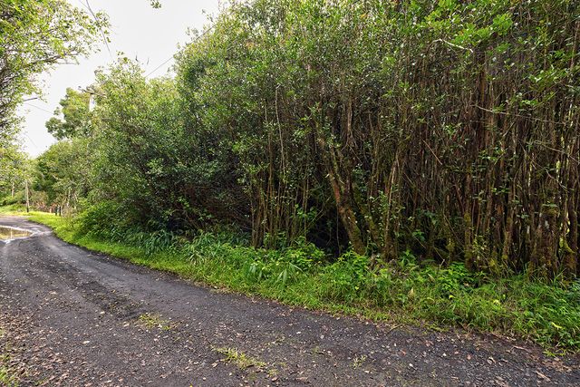 $75,000 | 17-4050 Lot 93 Maunalani Tract Rd Mountain View | Mountain View