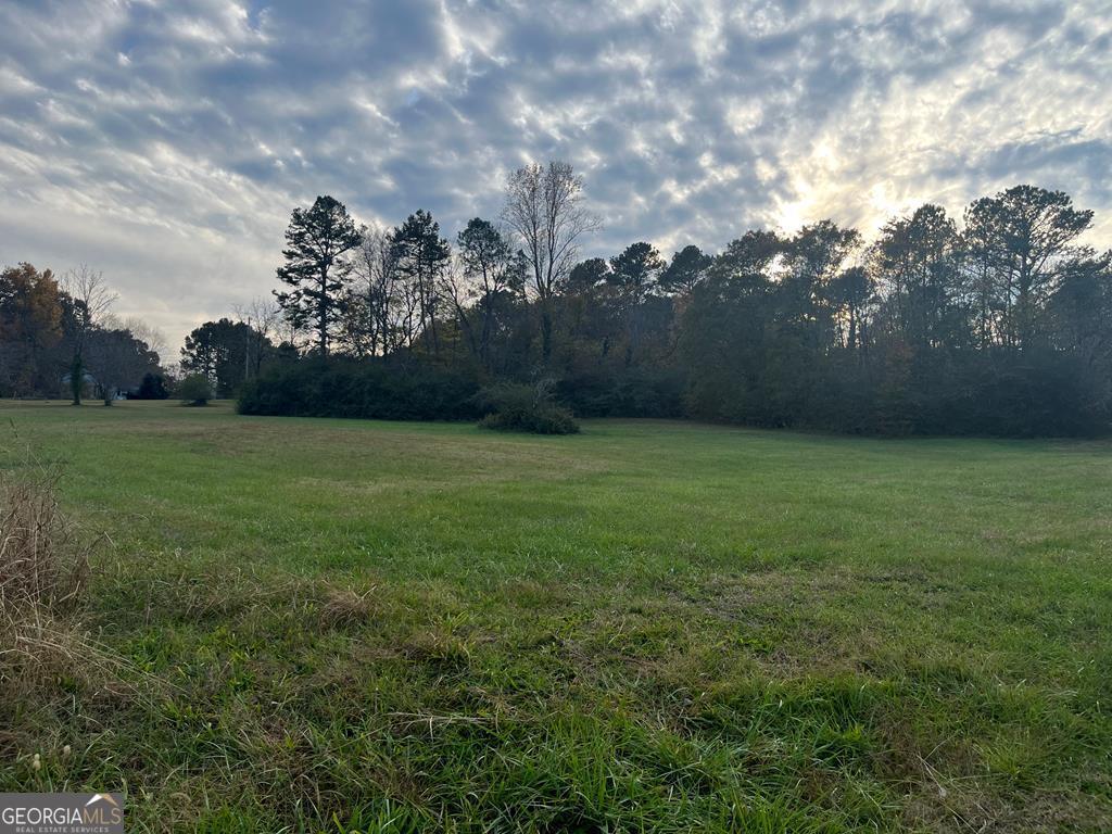 a view of a field of grass and trees