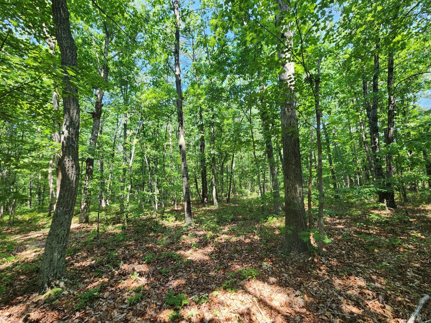 a view of outdoor space and green space