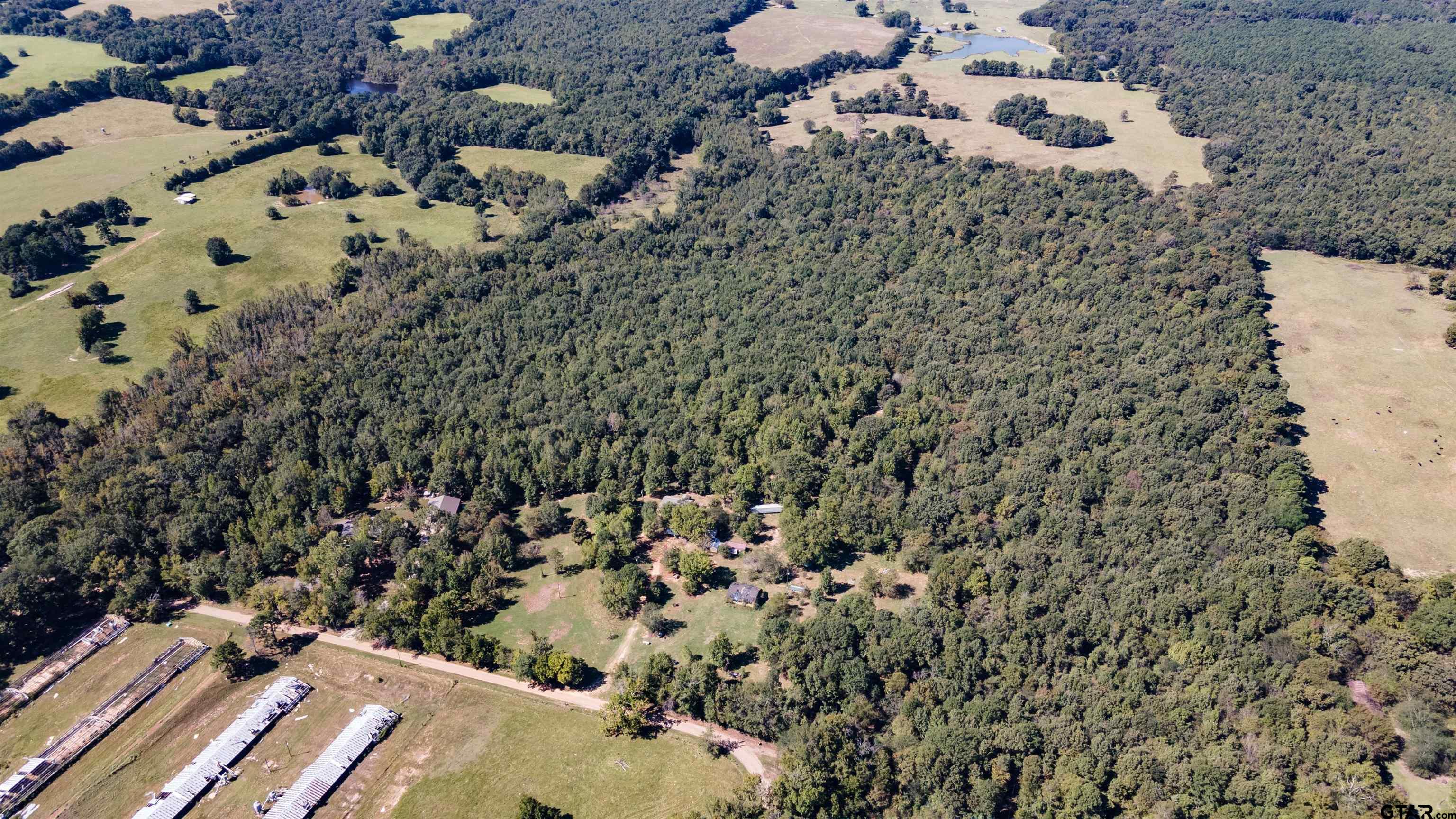 a view of a city with lots of trees