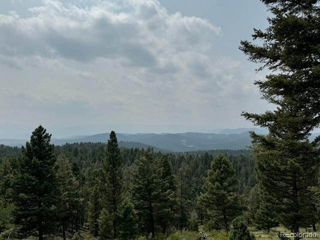 a view of a bunch of trees