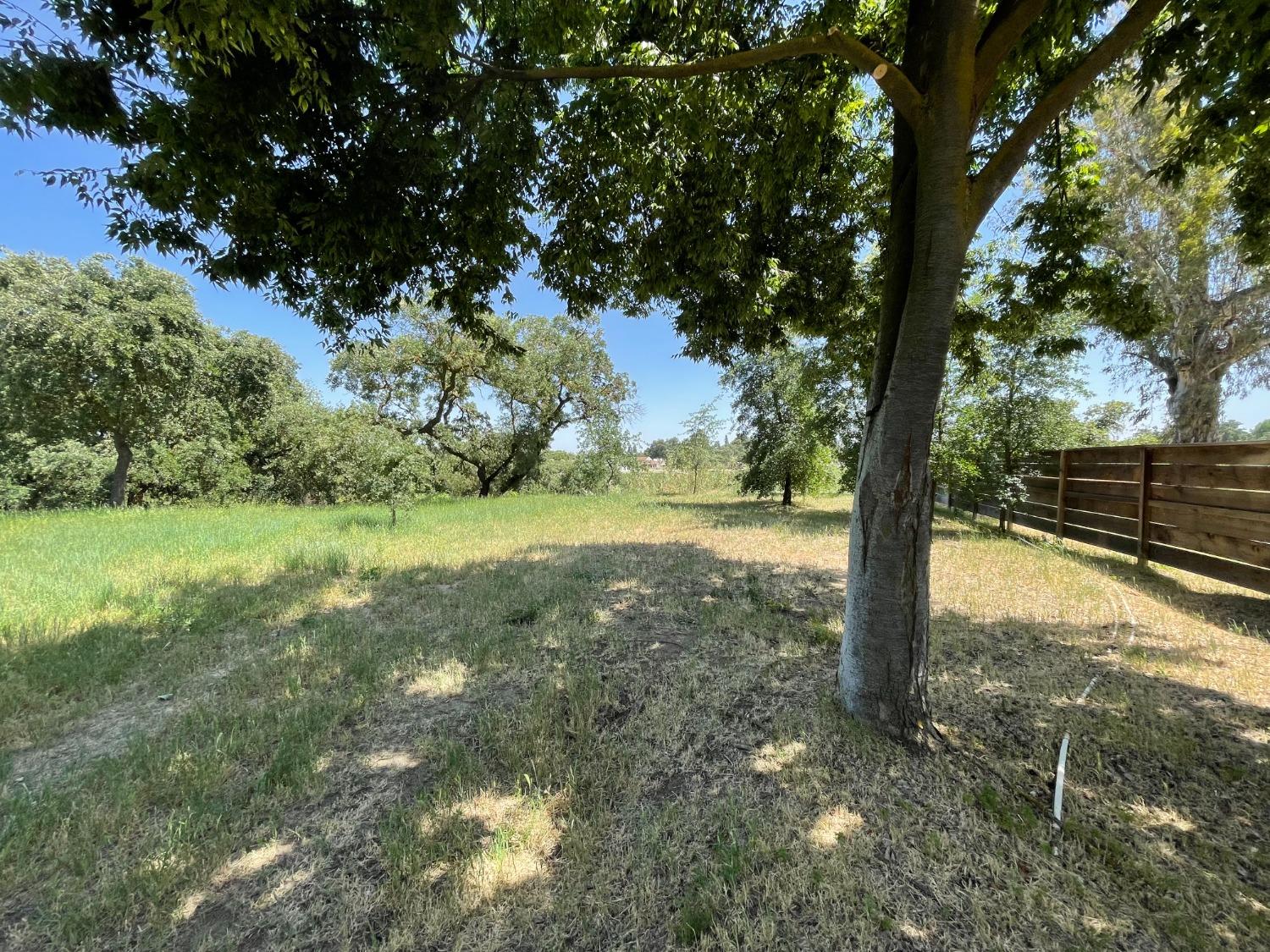 a view of a yard with a tree