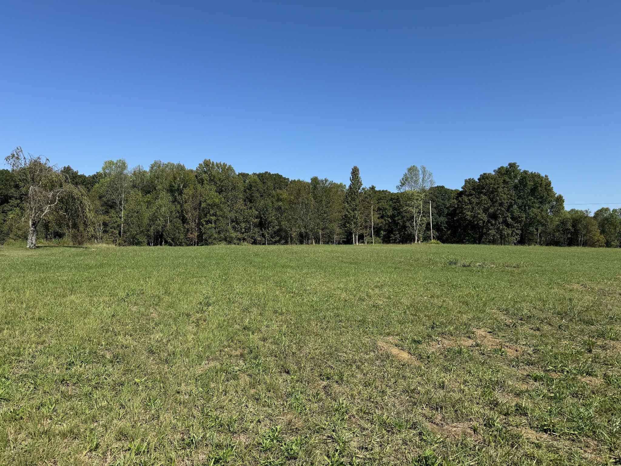 a view of a field with trees in the background