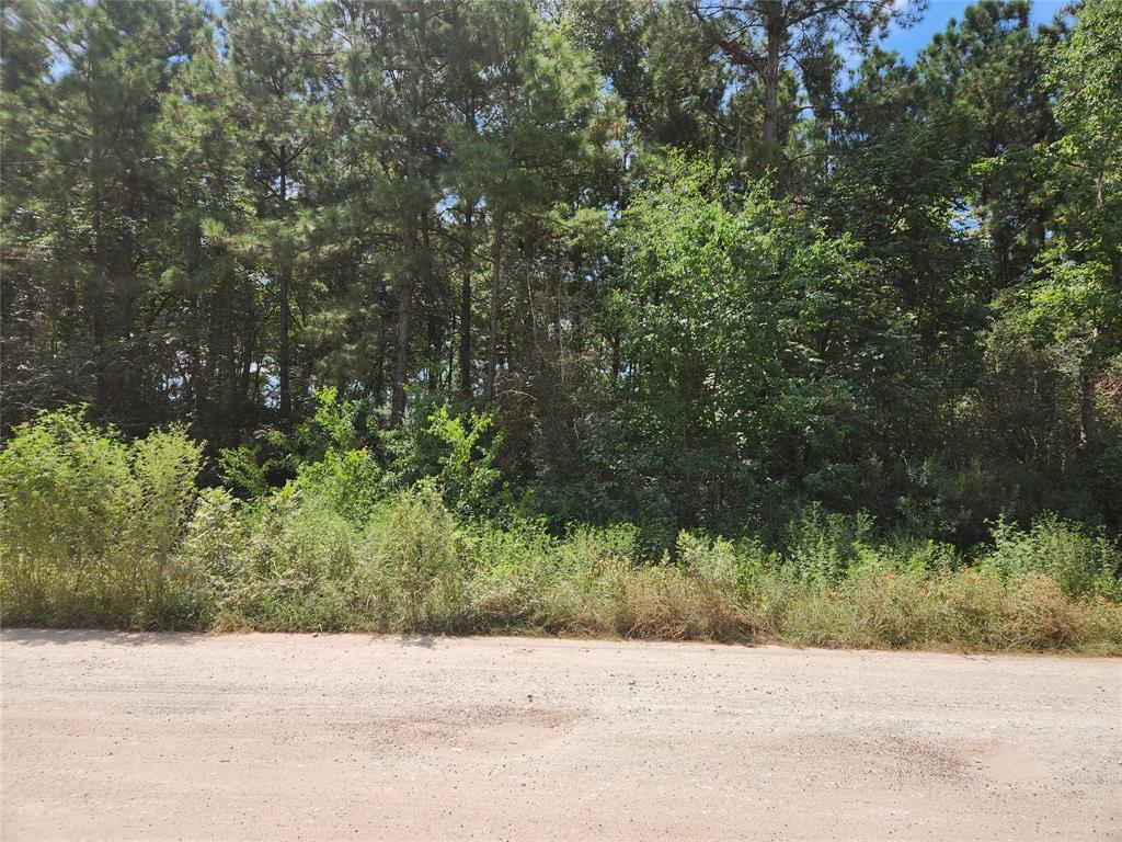 a view of road with trees