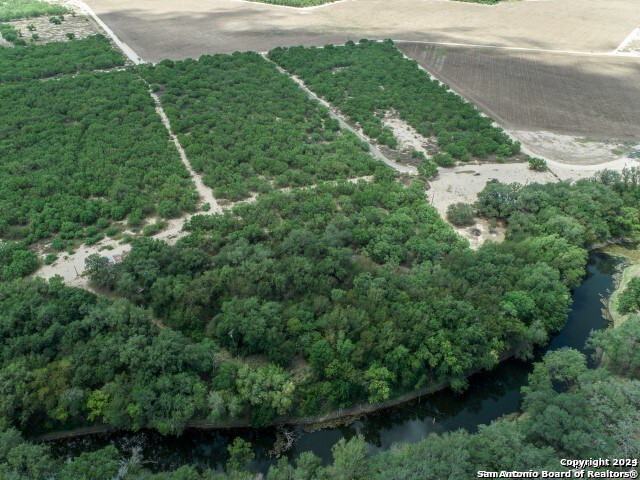 an aerial view of a yard