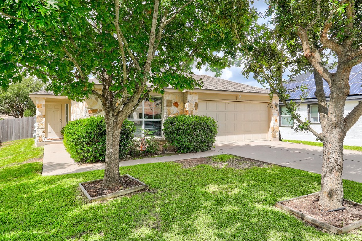 a front view of a house with a yard and tree