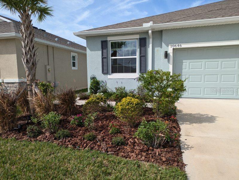 a flower plants in front of a house