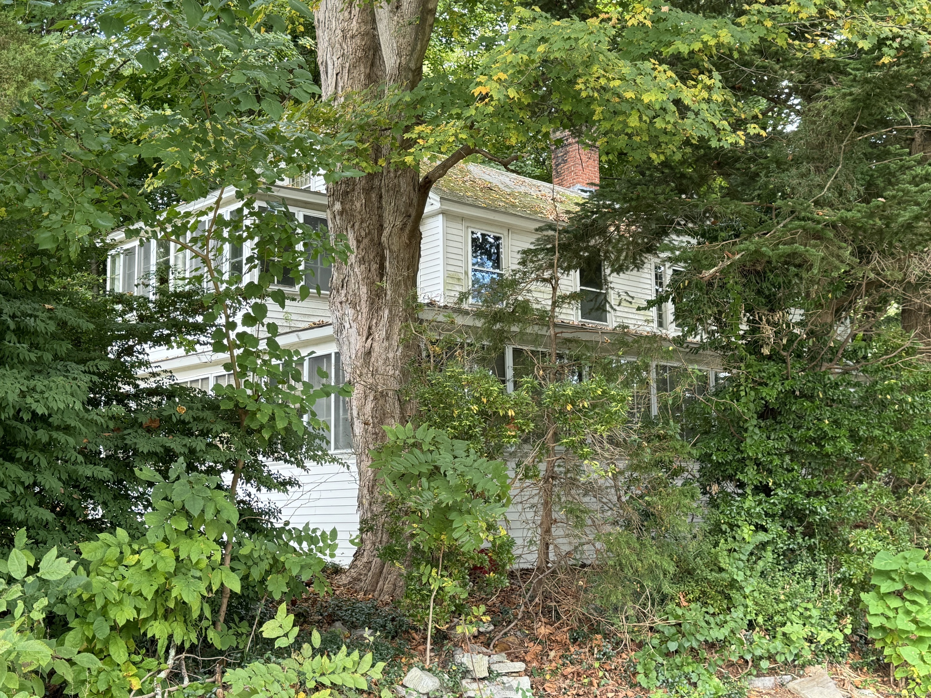 a front view of a house with yard