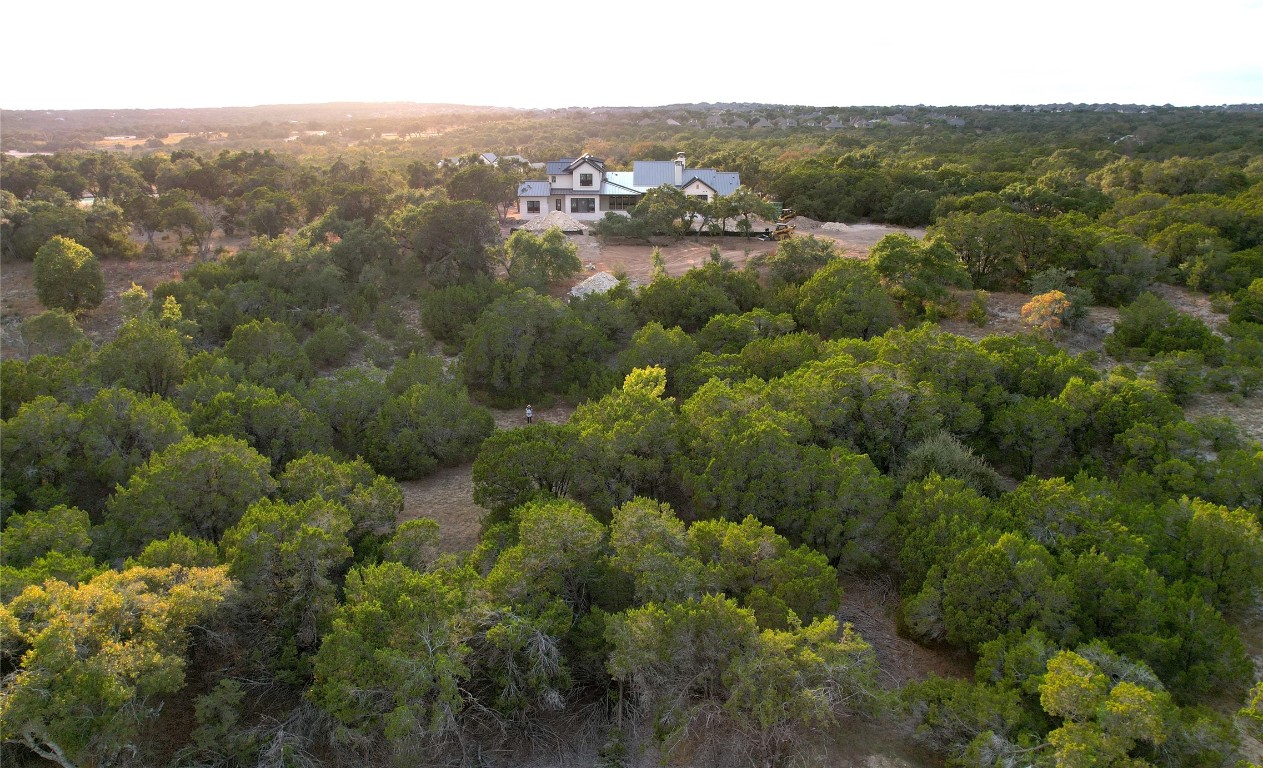 an aerial view of town with residential houses with outdoor space and trees