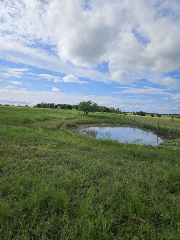 a view of a field with a big yard