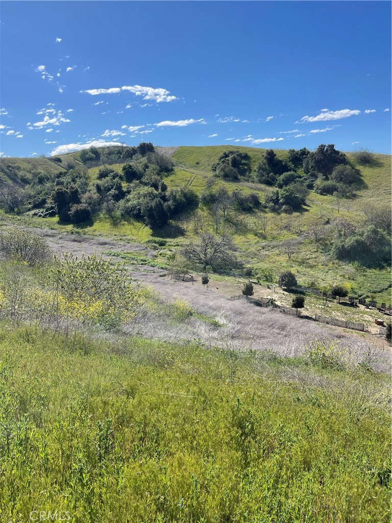 a view of a yard with a yard