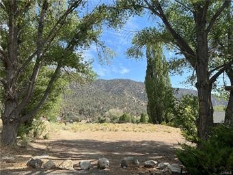 a view of a yard with trees