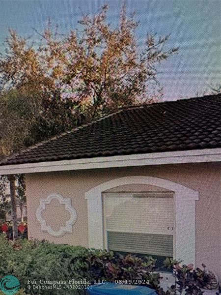 a close view of backyard of a house