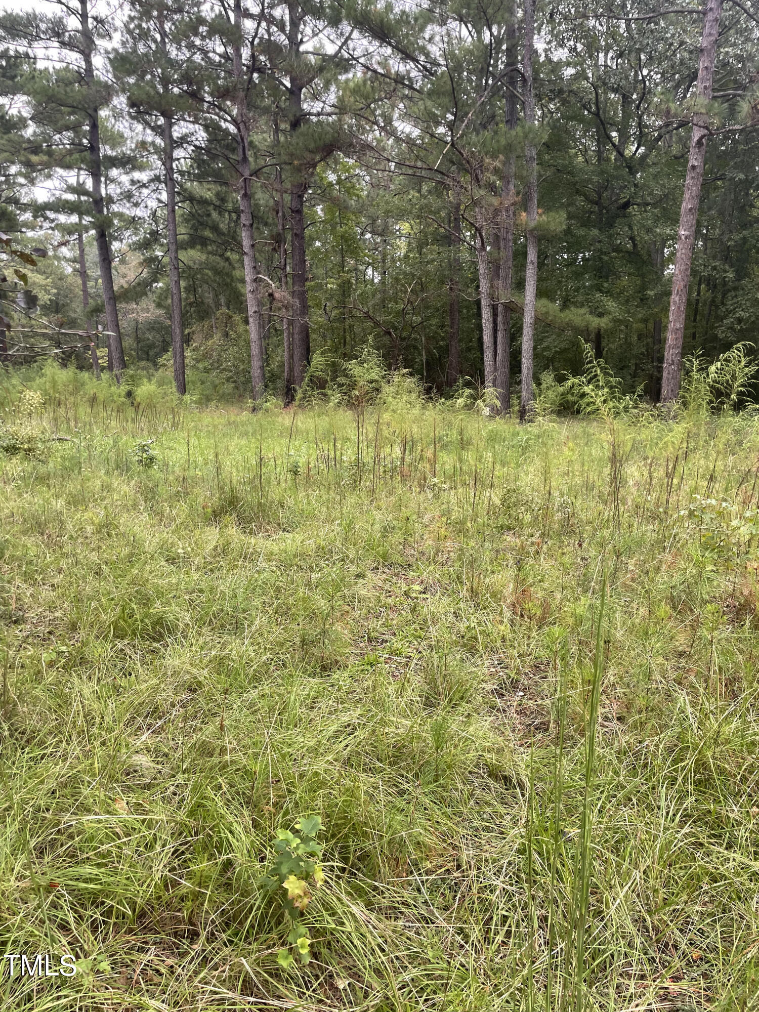 a view of backyard with green space