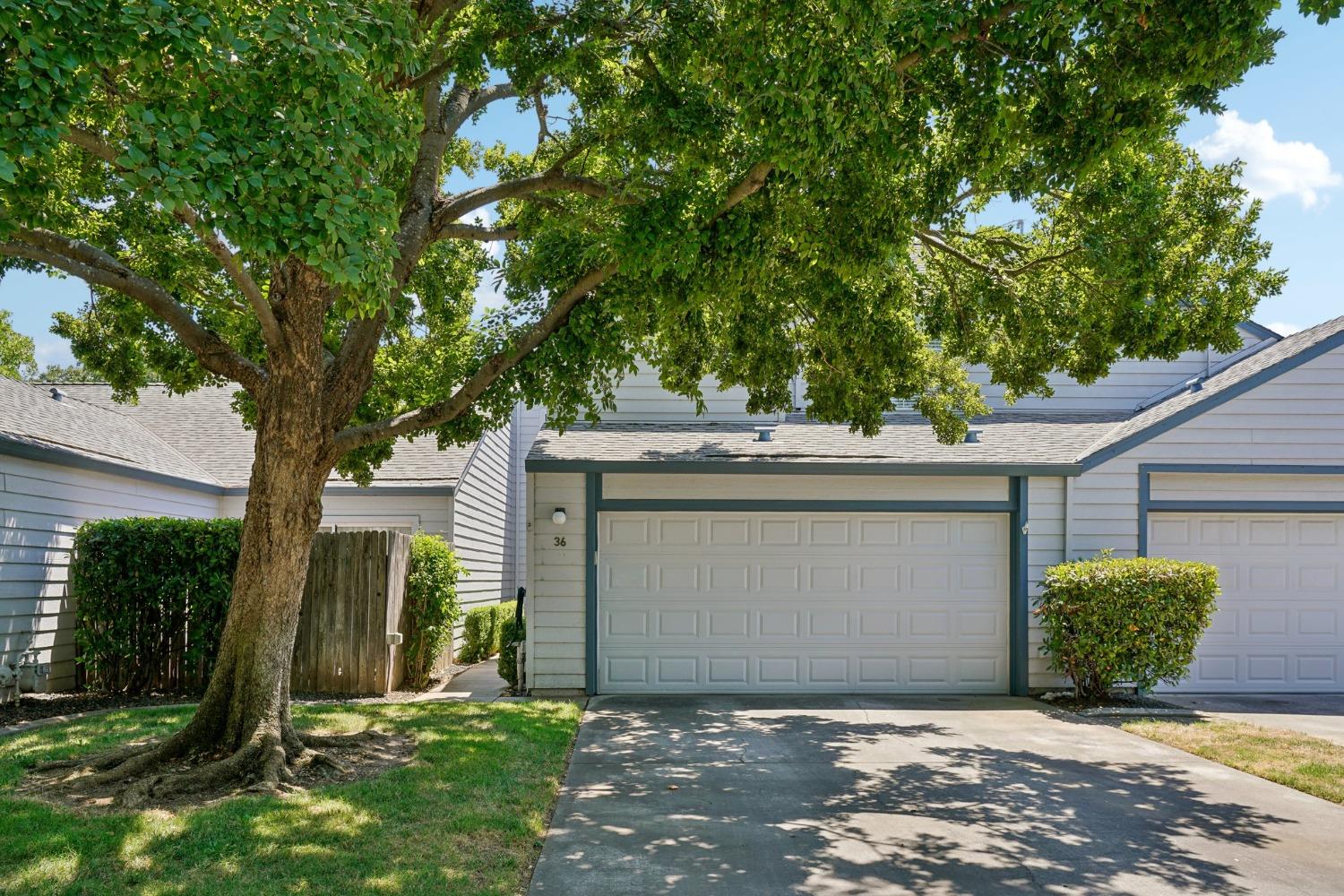 a view of a house with a small yard and a large tree