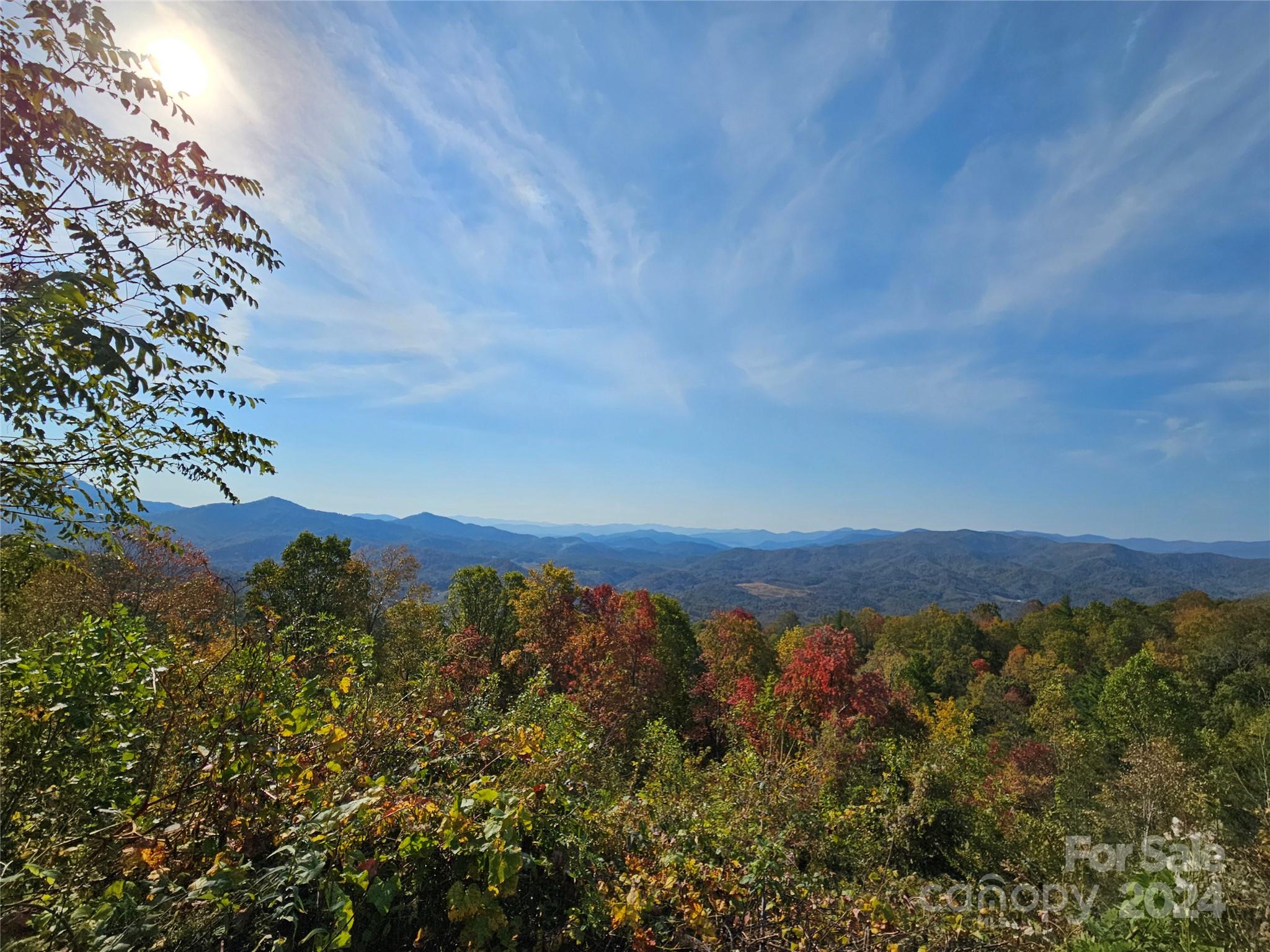 a view of mountain and tree