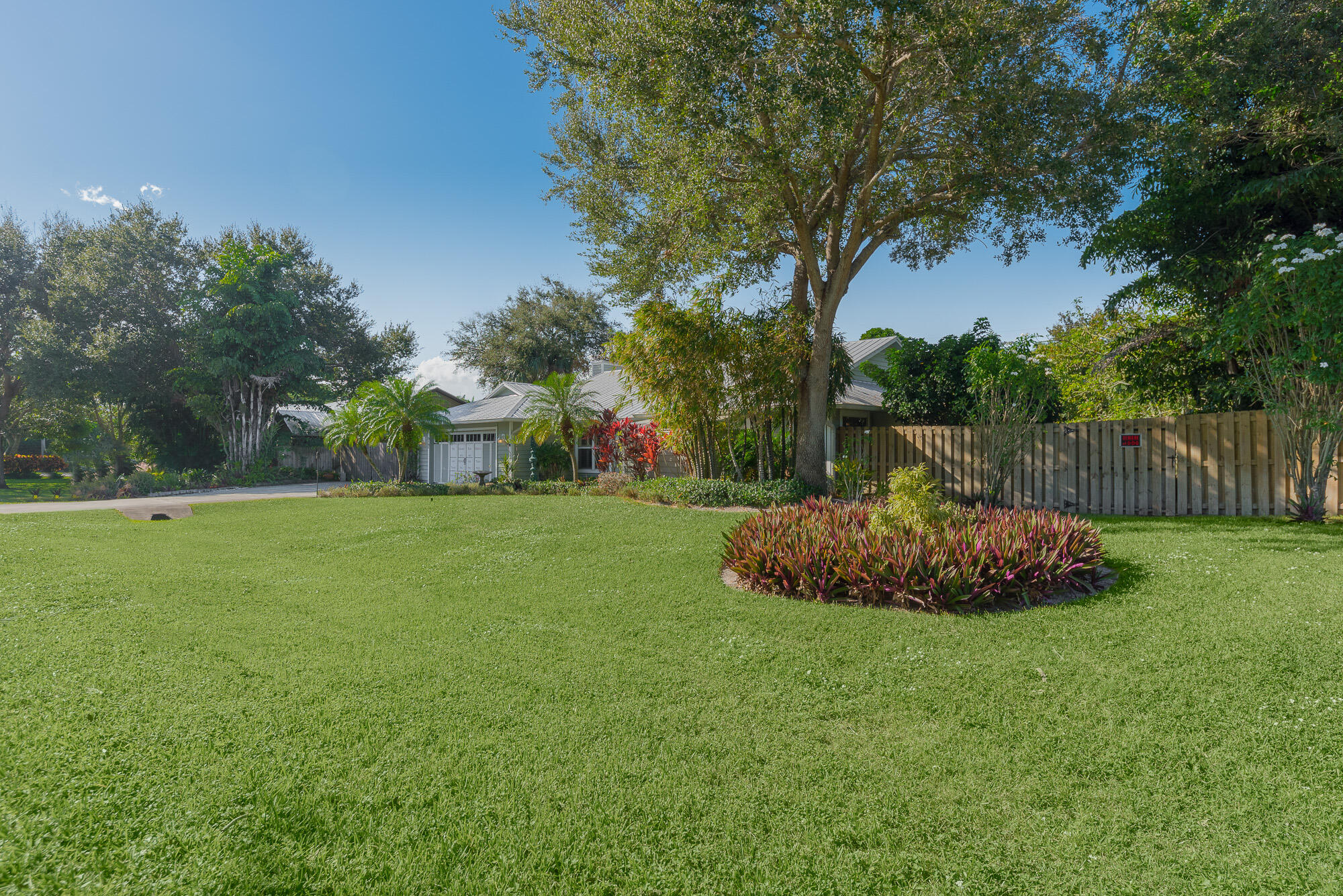 a garden view