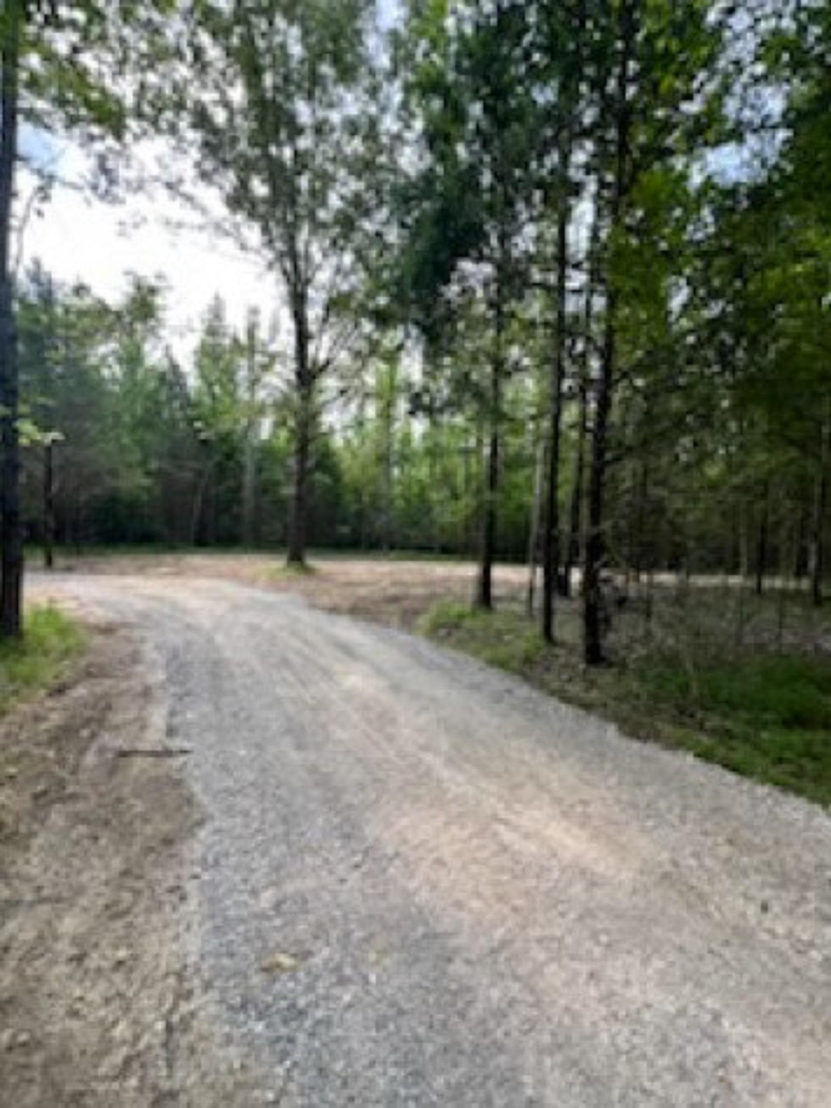 a view of outdoor space with trees