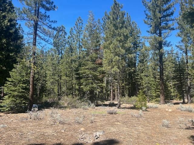 $280,000 | 0 Amodei Ranch Road