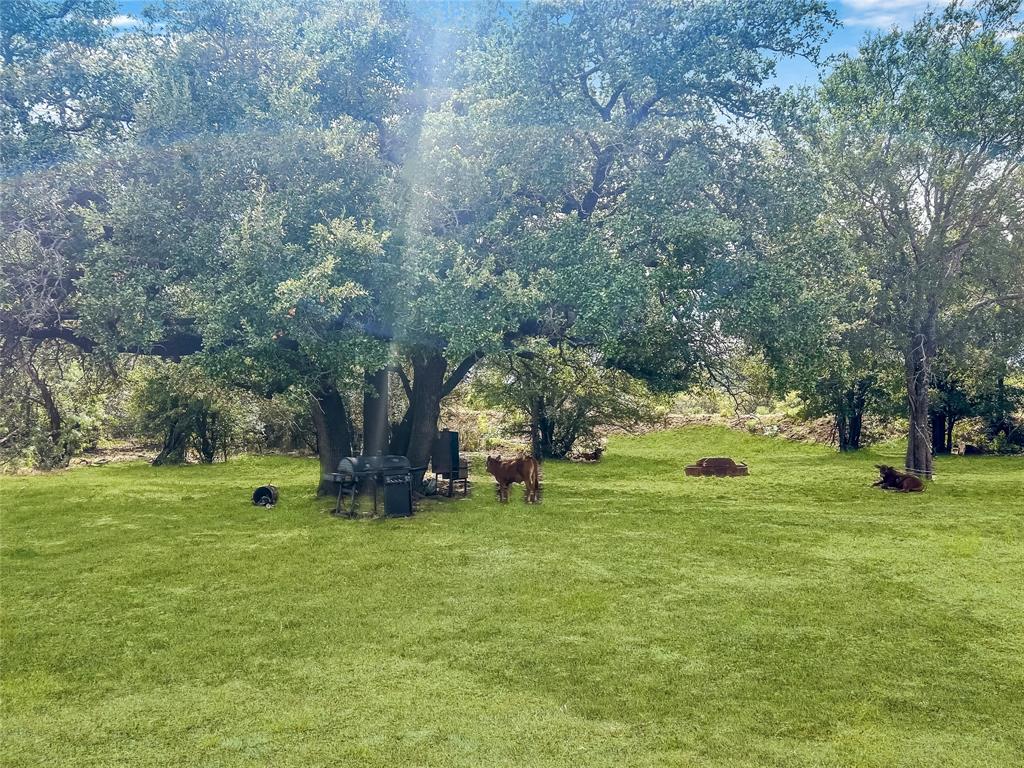 a view of yard with green space