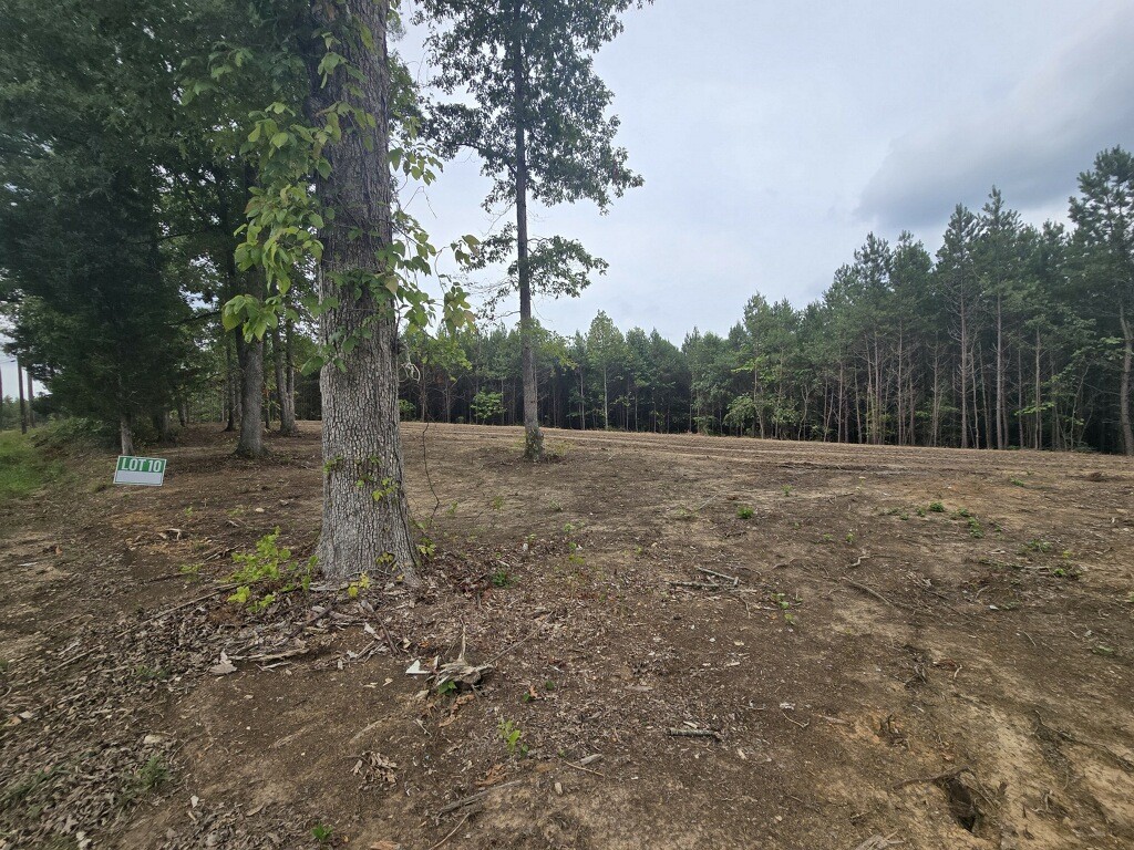 a view of a open space with trees in the background