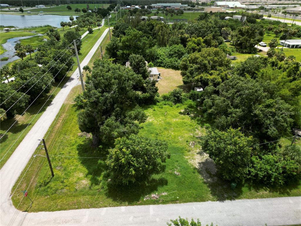 a view of a yard with plants