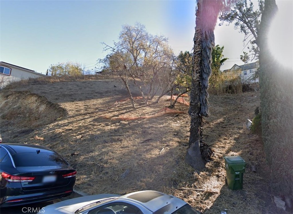 a view of backyard with green space