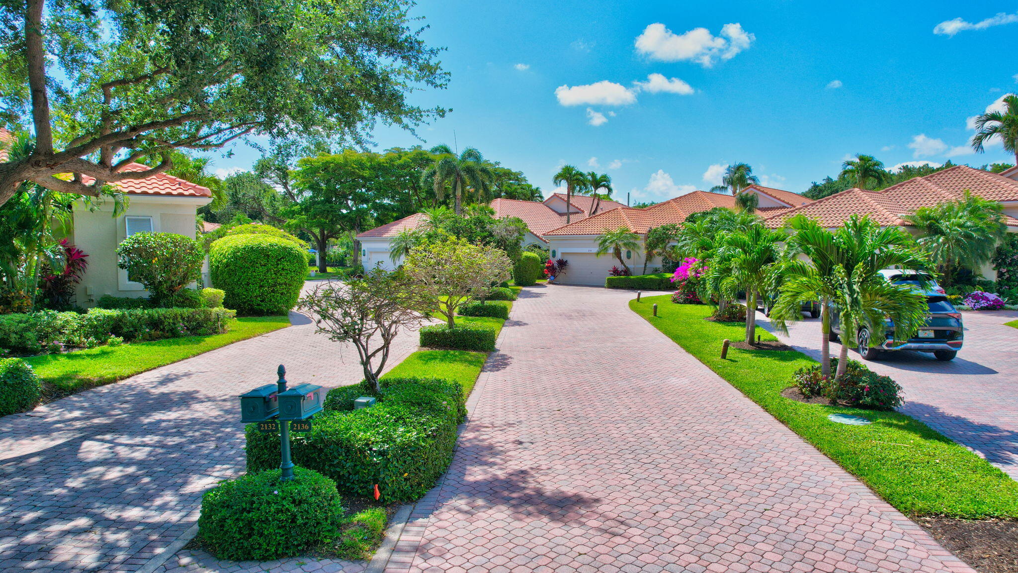 a view of a pathway with a yard