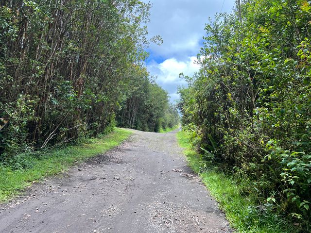 $40,000 | 3488 Road 4 (io Kea) Mountain View | Hawaiian Acres