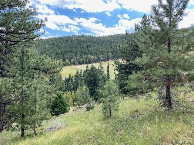 a view of mountain view with lots of trees