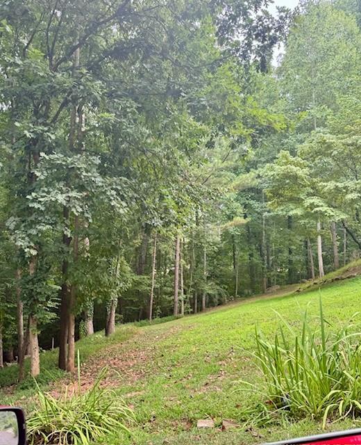 a view of a yard with plants and trees